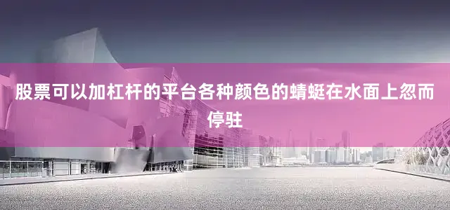 股票可以加杠杆的平台各种颜色的蜻蜓在水面上忽而停驻