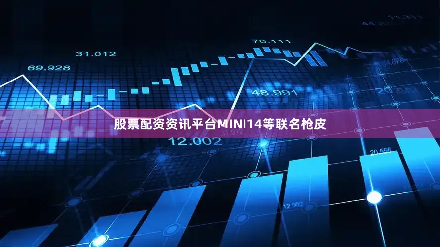 股票配资资讯平台MINI14等联名枪皮
