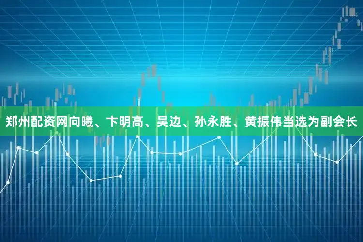 郑州配资网向曦、卞明高、吴边、孙永胜、黄振伟当选为副会长