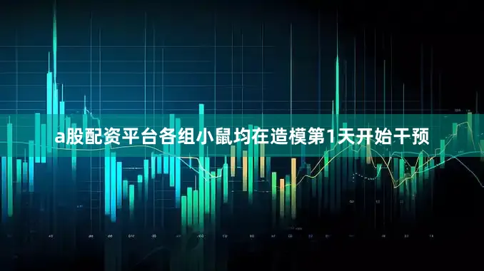 a股配资平台各组小鼠均在造模第1天开始干预