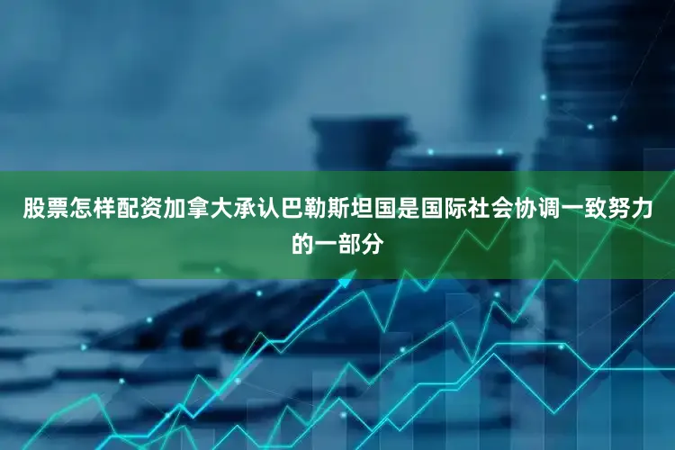 股票怎样配资加拿大承认巴勒斯坦国是国际社会协调一致努力的一部分